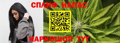 мдпв Обь