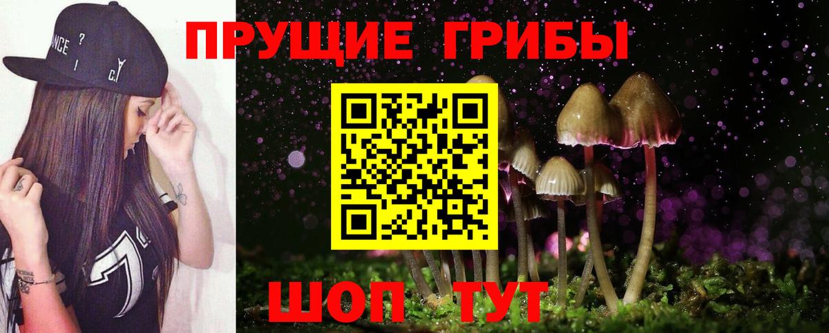 Псилоцибиновые грибы Psilocybine cubensis  Галлюциногенные грибы мицелий  Вход с VPN  Сухой Лог 